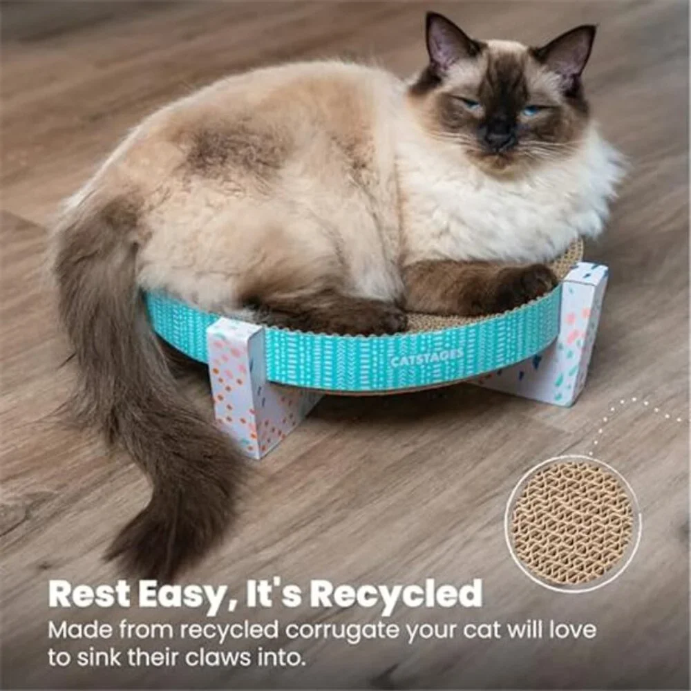 N/A 🧿cat lounger